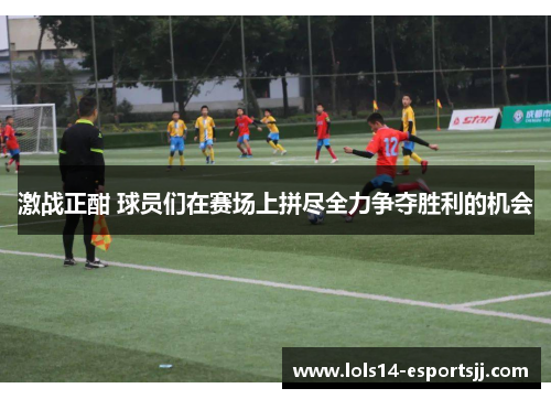 激战正酣 球员们在赛场上拼尽全力争夺胜利的机会