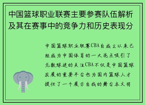 中国篮球职业联赛主要参赛队伍解析及其在赛事中的竞争力和历史表现分析