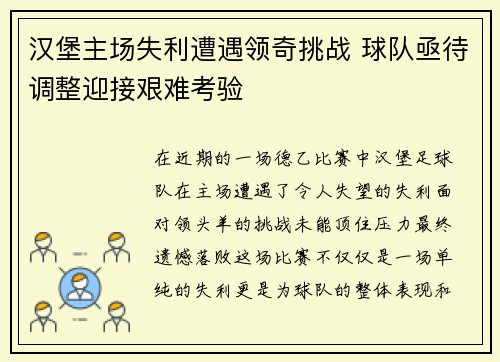 汉堡主场失利遭遇领奇挑战 球队亟待调整迎接艰难考验